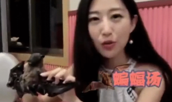 Giữa tâm bão virus corona, nữ MC Trung Quốc xin lỗi vì từng quay clip ăn súp dơi